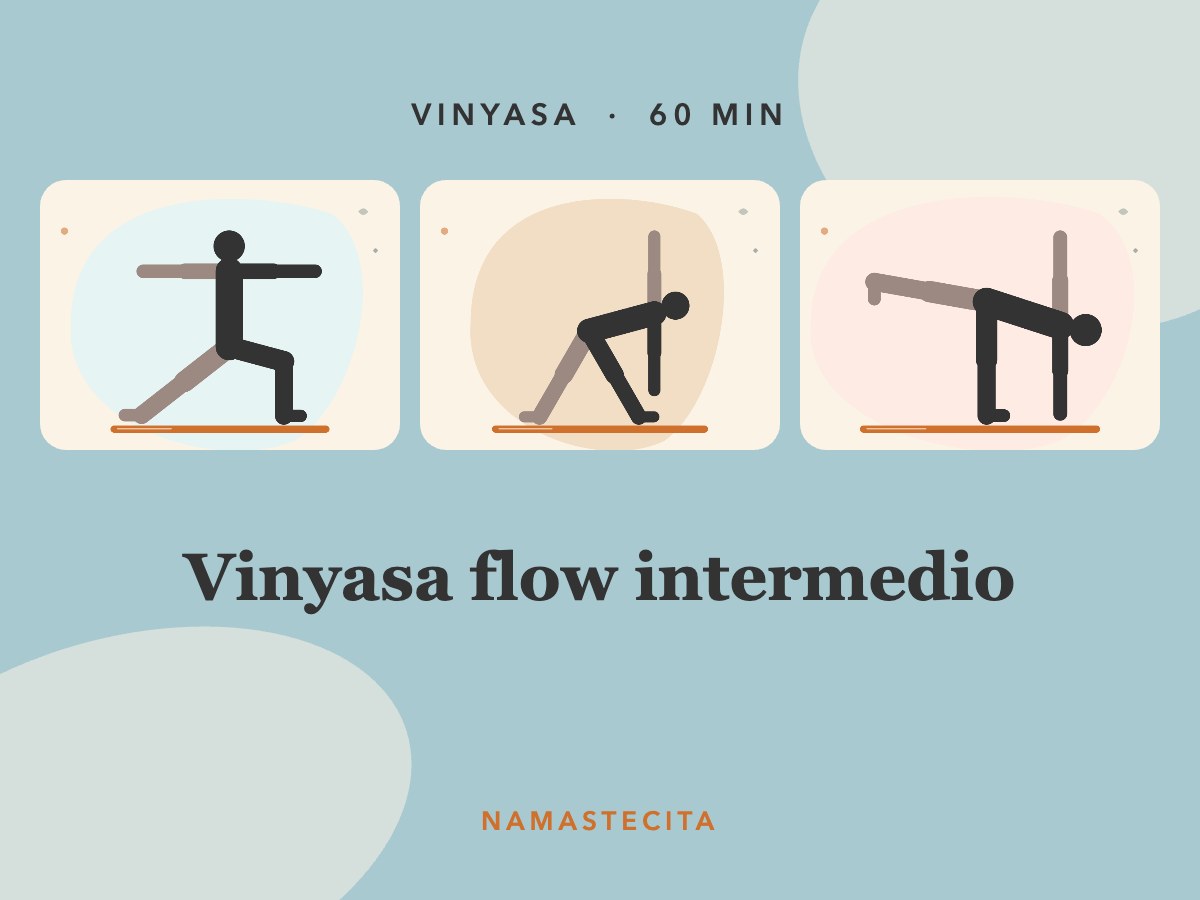 Vinyasa flow intermedio · 60 min